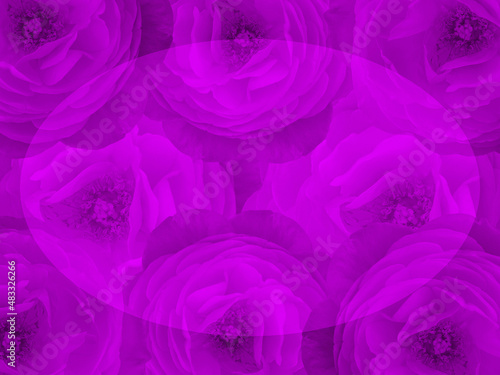 blur oval is placed on violet roses flower bouquet background, banner, template, name card, copy space