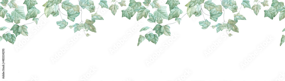 Ivy branches watercolor seamless border on white background - obrazy, fototapety, plakaty 