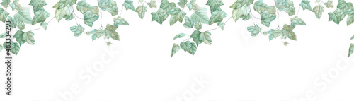 Ivy branches watercolor seamless border on white background
