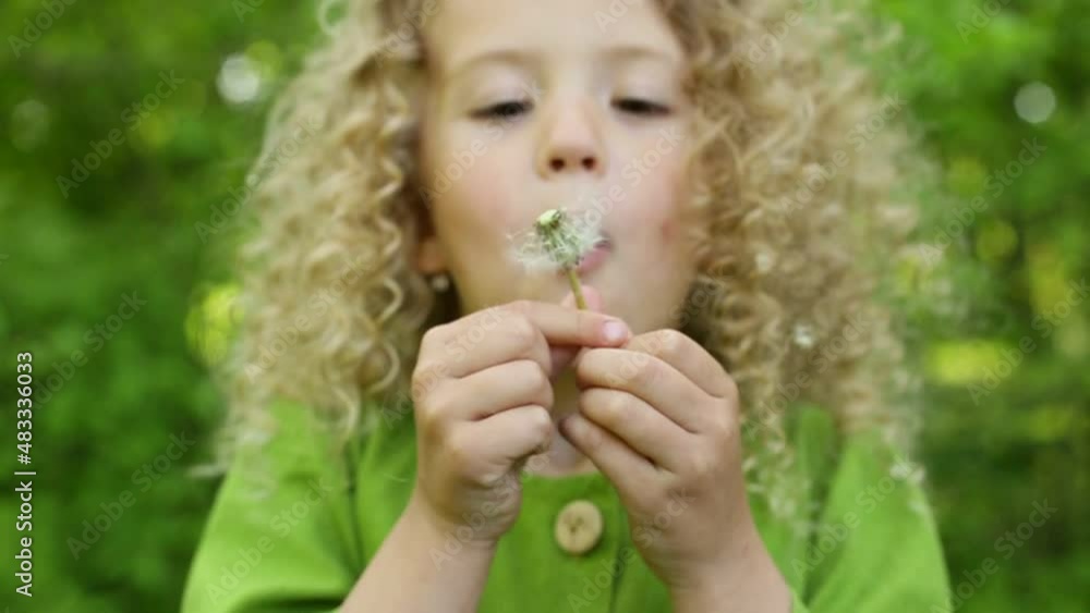 a little girl blows on dandelions in spring in a green dress, happy childhood a little girl blows on dandelions in spring in a green dress, happy childhood