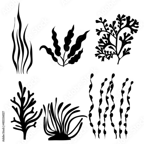 seaweed silhouette, on white background, vector, isolated