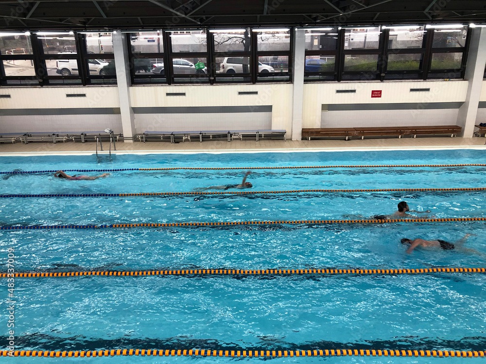 multiple people swimming the breast stroke