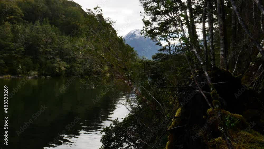 Panorama shot of tranquil River and jungle forest with species of flora Panorama shot of tranquil River and jungle forest with species of flora