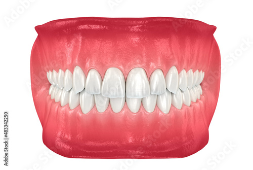 Healthy human teeth with normal occlusion. Medically accurate tooth 3D illustration