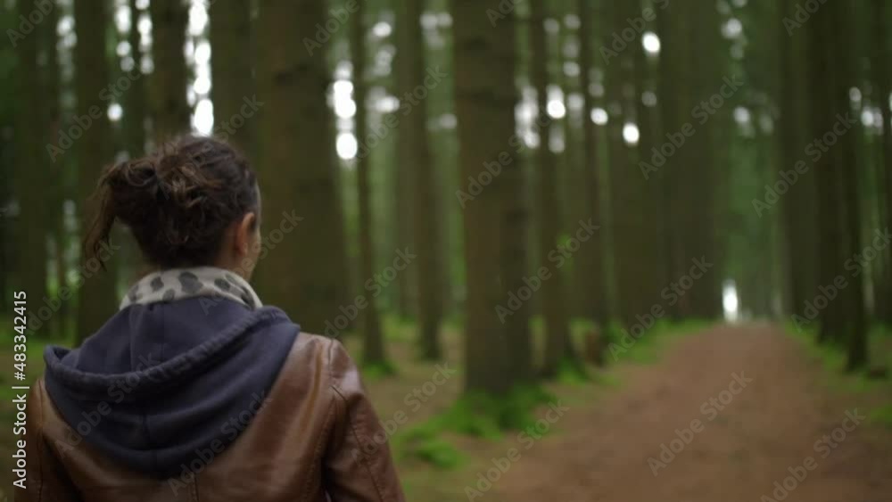 Girl walking through a Beautiful Forest with Tall Green Pine Trees, over the shoulder shot. Girl walking through a Beautiful Forest with Tall Green Pine Trees, over the shoulder shot.