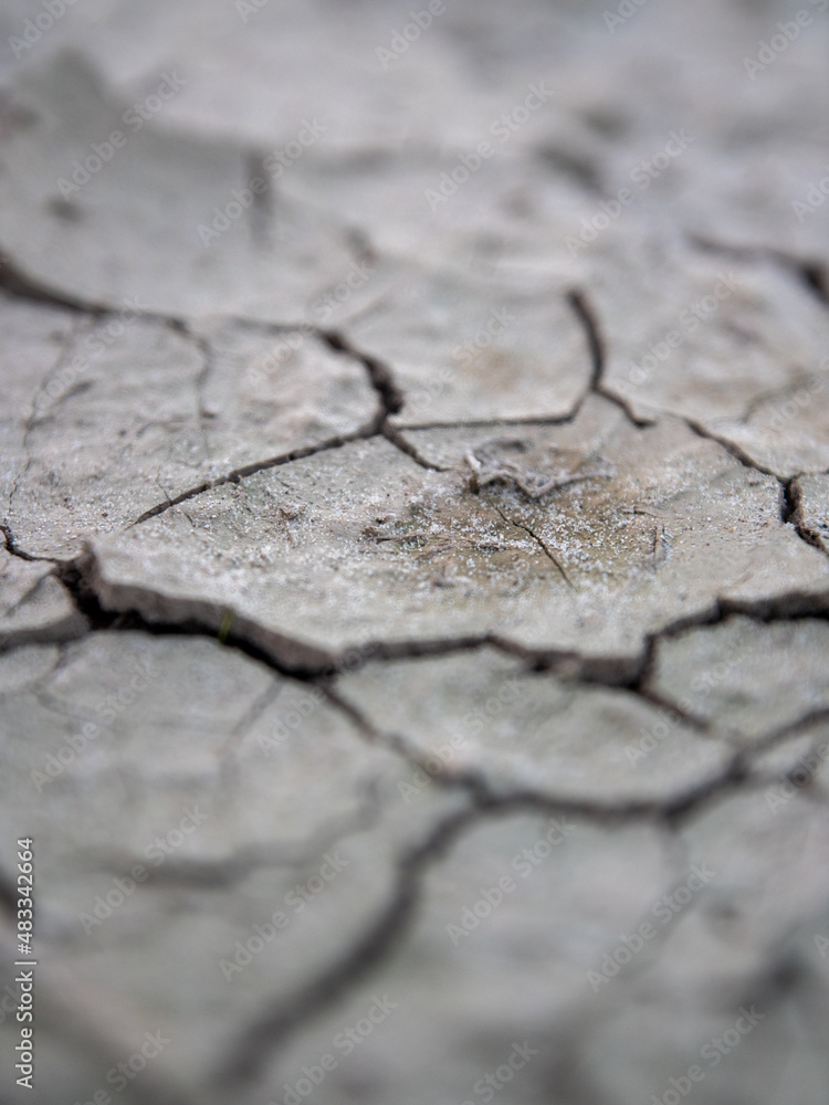 Obraz premium craquelure du sol dans le désert