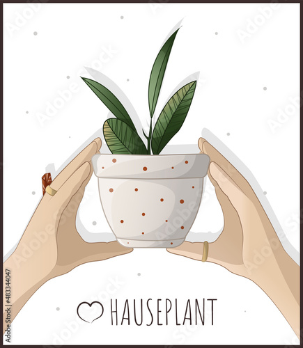 Woman and pot with houseplant. Caring for houseplants. Houseplant, home garden, gardening, plant lover, houseplant store concept, greenhouse.