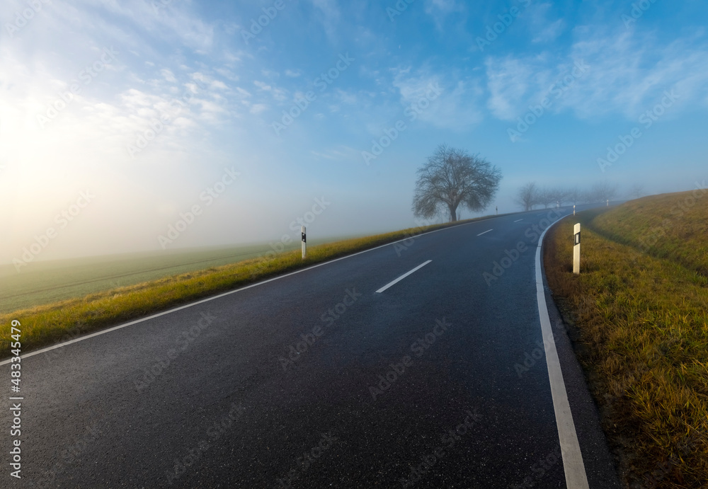 Curved street with wet asphalt surface on a misty winter morning near Tübingen Germany. Country road with limited and blurred visibility caused by fog after rain. Trees and reflector post on roadsides