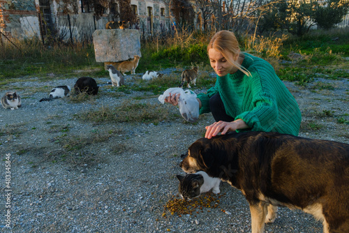 Photography Woman feeding street cats and dog outdoors.