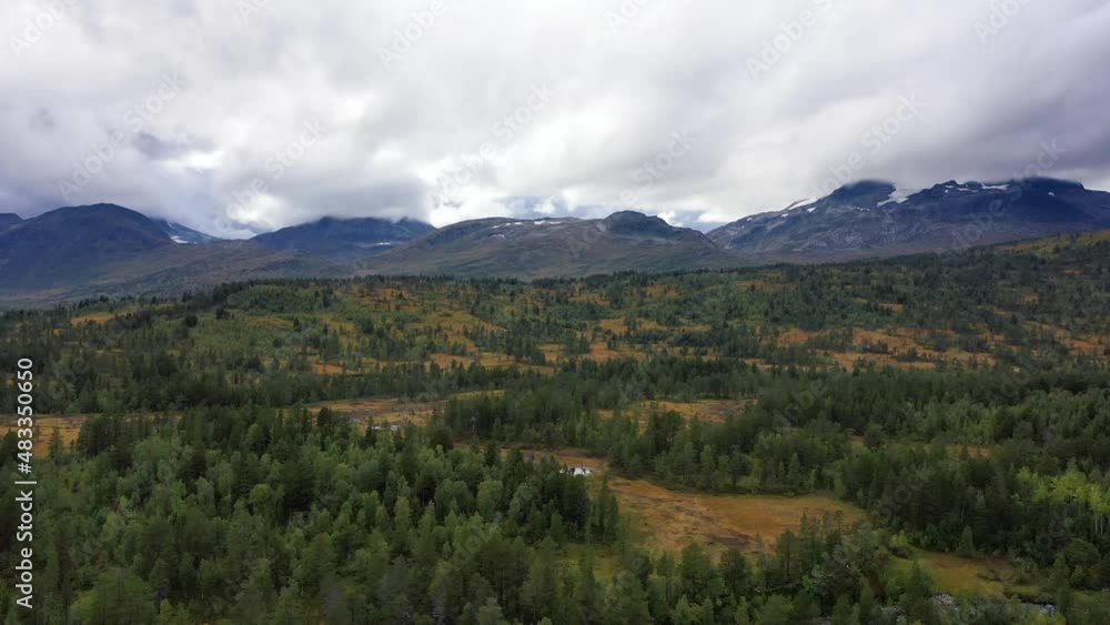 Mountain in the fog against a cloudy sky drone. Green pines forest in the mountains filmed with a drone. Mountain in the fog against a cloudy sky drone. Green pines forest in the mountains filmed with a drone.
