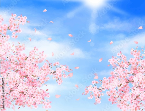 美しく華やかな桜の花と花びら舞い散る春の爽やか青空に光差し込む雲のフレーム背景ベクター素材イラスト © Merci