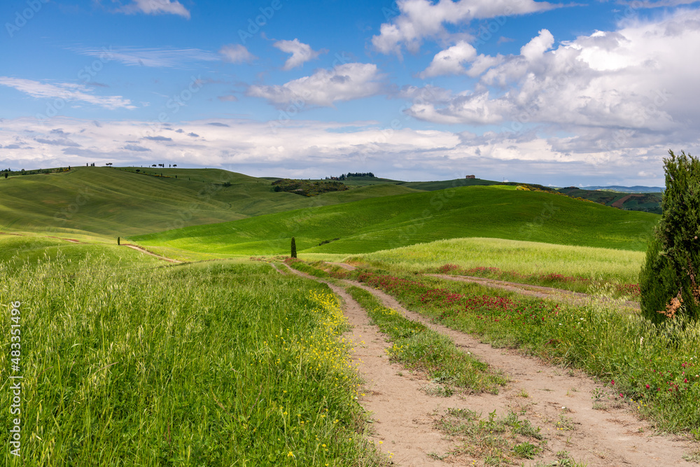 View of the scenic Tuscan countryside