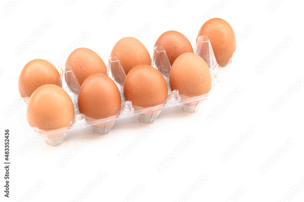 Nine eggs lay in a row on a white background.