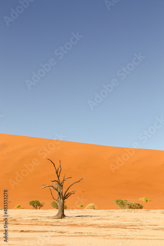 Deadvlei  Sossusvlei  Namibia