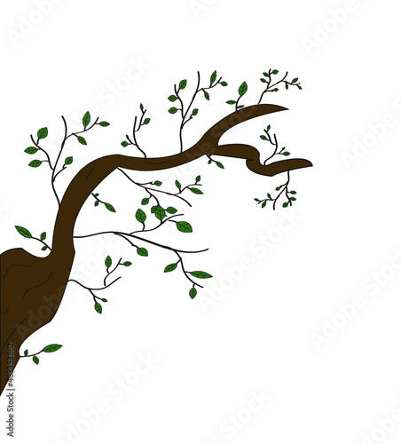 Tree branch
