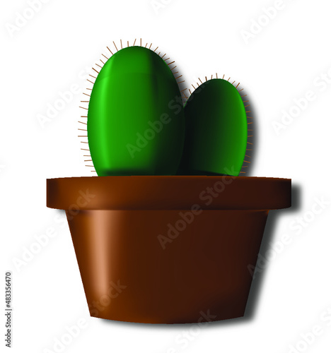 Cactus