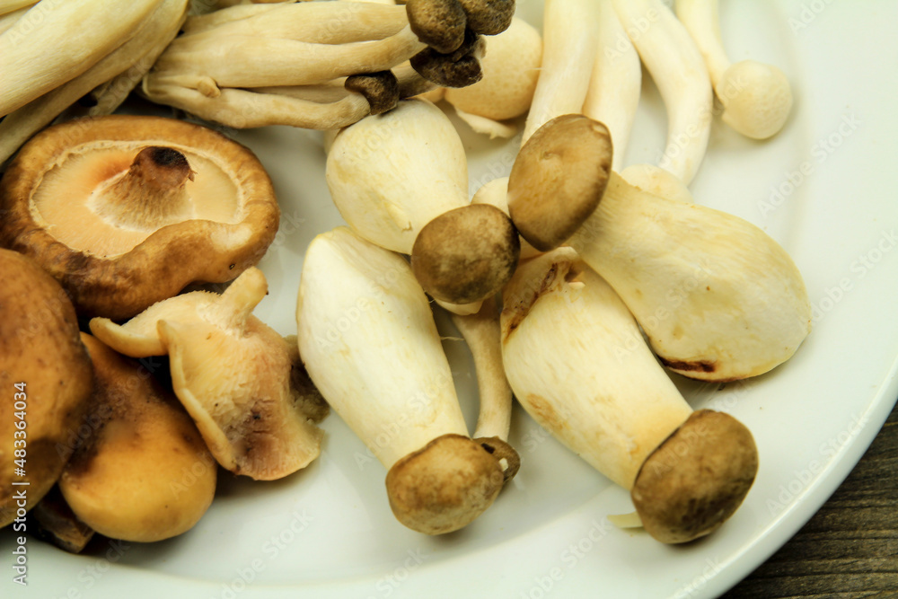 Assorted Mushrooms in plate on the table Assorted Mushrooms in plate on the table