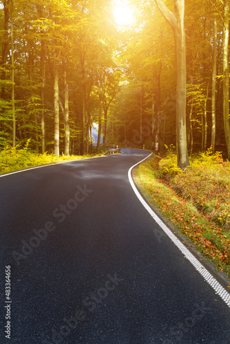 Winding asphalt road in the autumn forest by the sunset sun