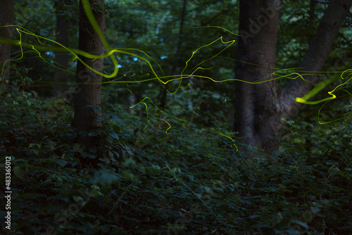 glow worms 2