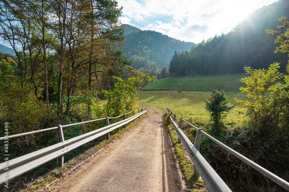 Fototapeta premium Magnificent view from a narrow unpaved road to wooded mountains and hills with green grass in the rays of the morning sun