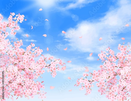 美しく華やかな桜の花と花びら舞い散る春の爽やか青空に光差し込む雲のフレーム背景ベクター素材イラスト