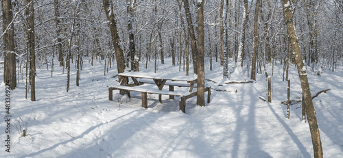 table on winter nature in the forest