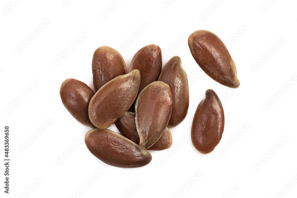 Small pile of linseed or flax seed seen directly from above Small pile of linseed or flax seed seen directly from above