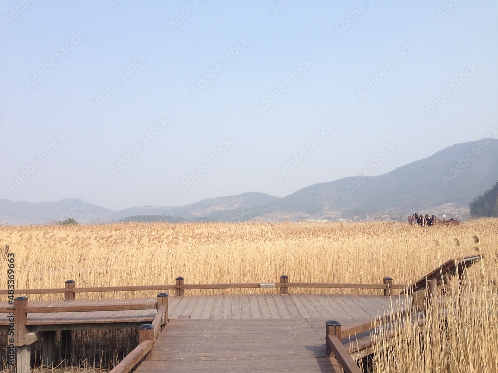 순천 순천만 공원, 전남 순천만 습지, 갈대 공원, 순천만 생태 공원 /  Suncheonman Bay Park, Suncheonman Bay Wetland in Jeollanam-do, Reed Park, Suncheonman Bay Ecological Park 