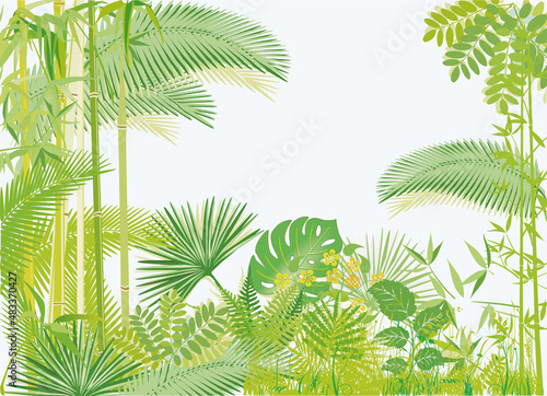 Regenwald  Tropischer Jungle illustration, vector