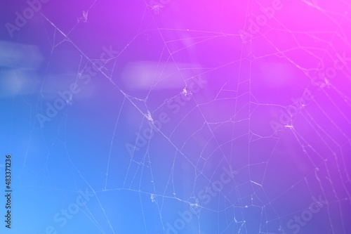Abstract background with color gradient and blurred spider web. Trendy neon light. Purple, blue, pink, cyan