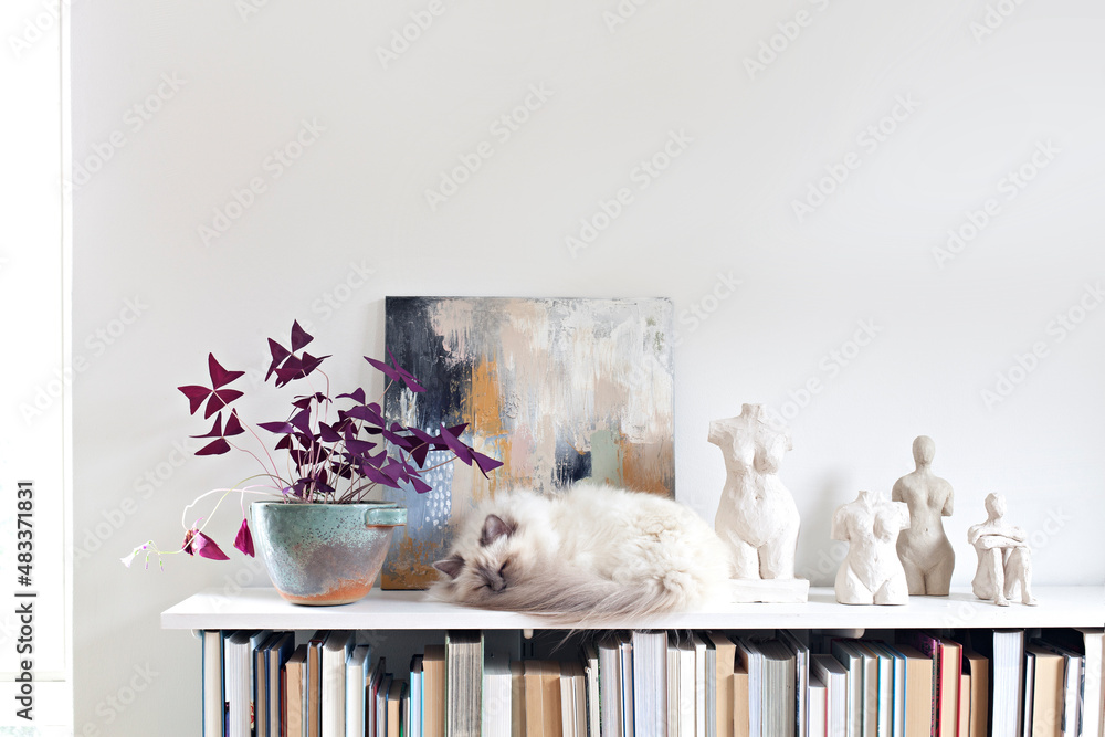 White cat sleeping on bookshelf next to art and sculptures Stock Photo