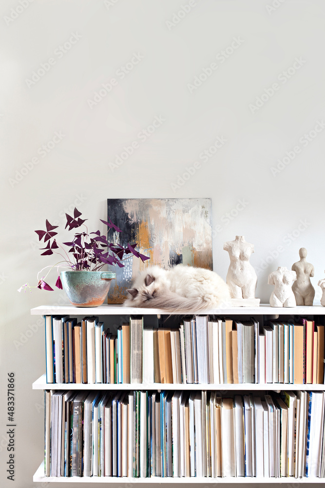 White cat sleeping on bookshelf next to art and sculptures Stock Photo
