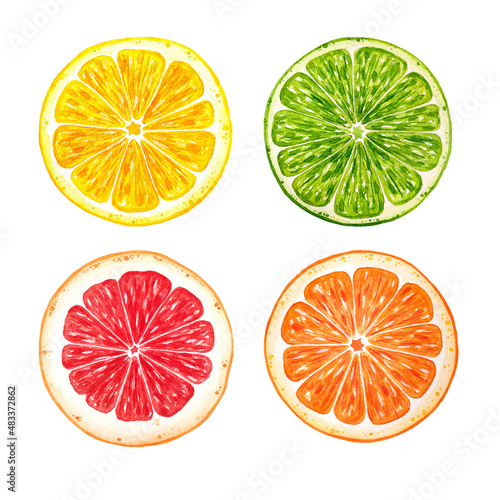 Murais de parede Set of citrus fruits