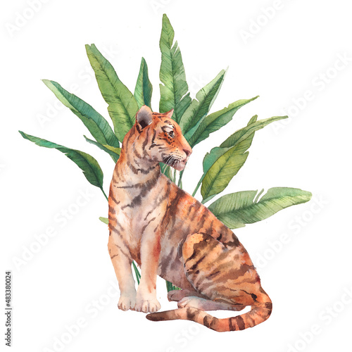 Tiger and tropical plants card. Hand drawn summer cover design with exotic branches, flowers, palm tree. Watercolor artwork photo