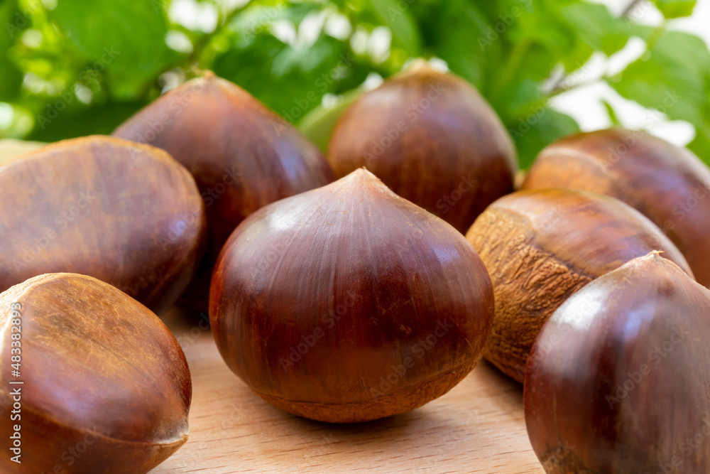 Autumn delicacies, chestnuts, white, white background Autumn delicacies, chestnuts, white, white background