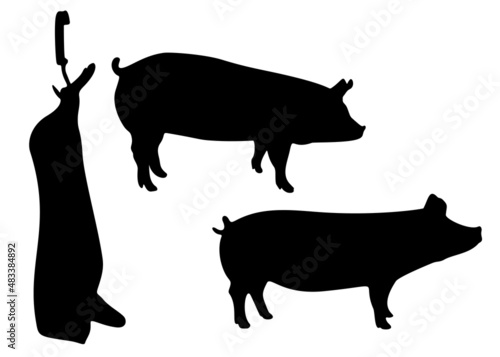 Pig and carcass in a set. Vector image.