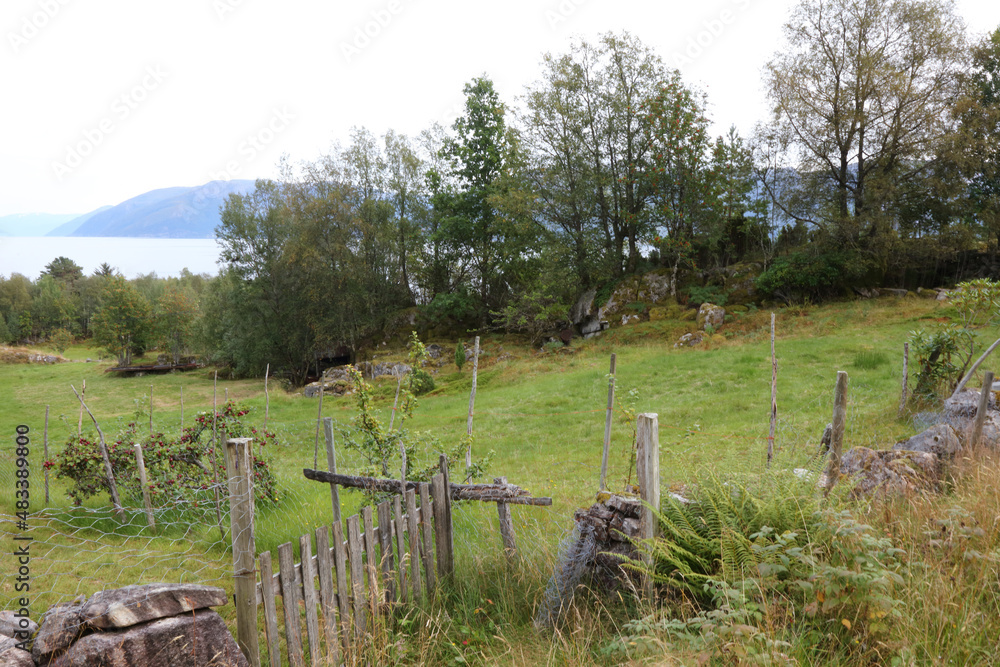 Norwegen - Sognefjord bei Nordrevik und Vadheim / Norway - Sognefjorden near Nordrevik and Vadheim /