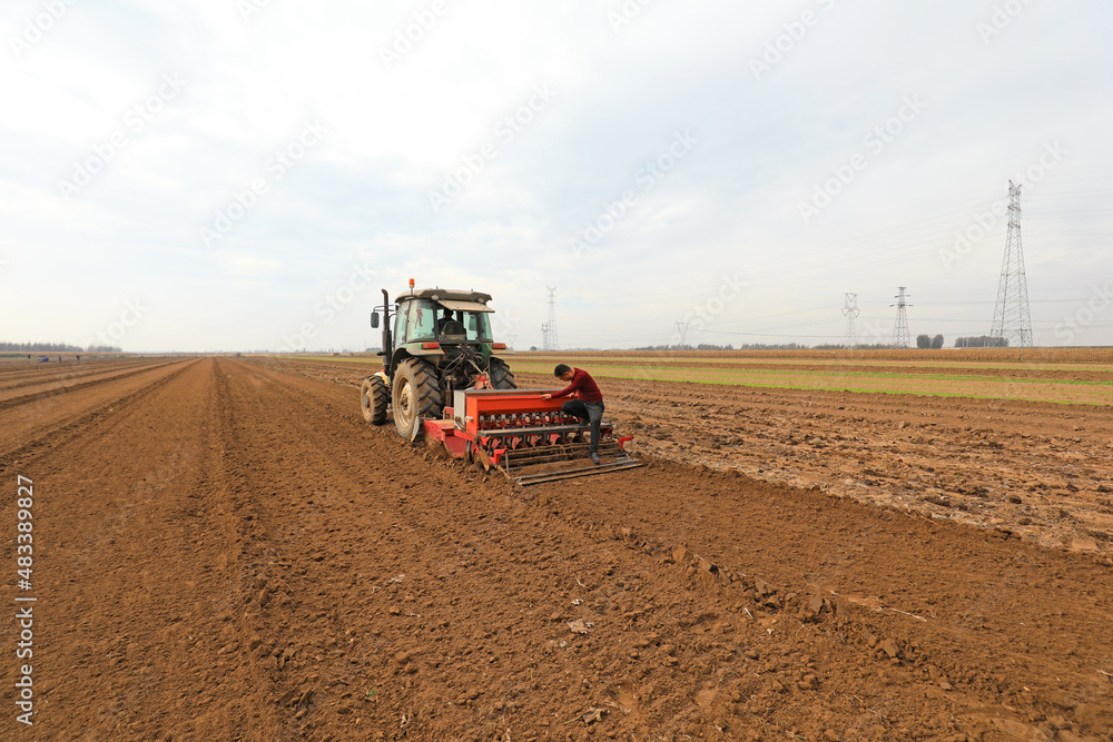 Fototapeta premium farmers sow winter wheat in fields, North China