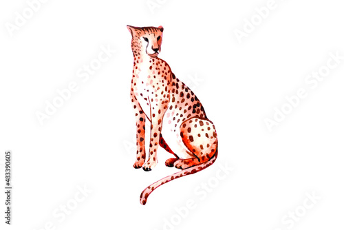 watercolor leopard animals 