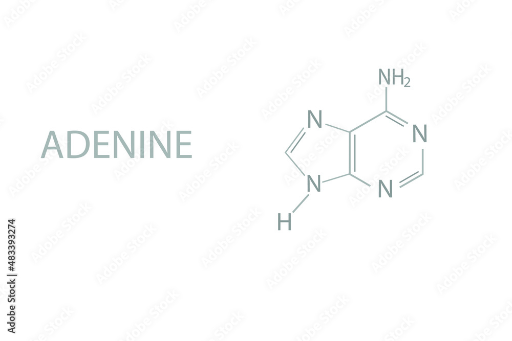 Adenine molecular skeletal chemical formula.	
