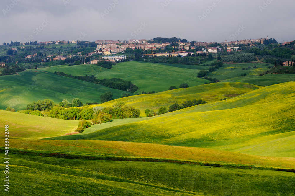 Spring Tuscany. View of the green fields lit by the rays of the sun. In the distance you can see the city of San Quirico d'Orcia