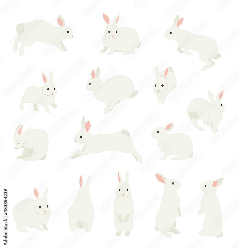 ウサギイラスト素材 白うさぎ Stock Vector Adobe Stock ウサギイラスト素材 白うさぎ Stock Vector Adobe Stock