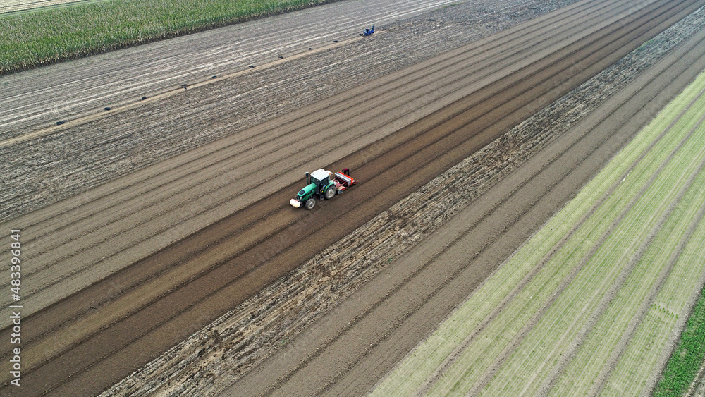 Fototapeta premium farmers sow winter wheat in fields, North China