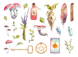 Set of watercolor hand painted magical objects and herbs isolated on white background. Mushrooms, plants, potion bottle and crystals. Illustrations for pattern, scrapbooking and stickers