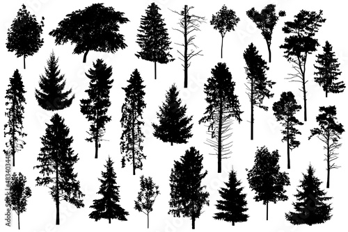 Silhouette of set different trees. Collection of coniferous evergreen forest trees, deciduous trees. Vector illustration