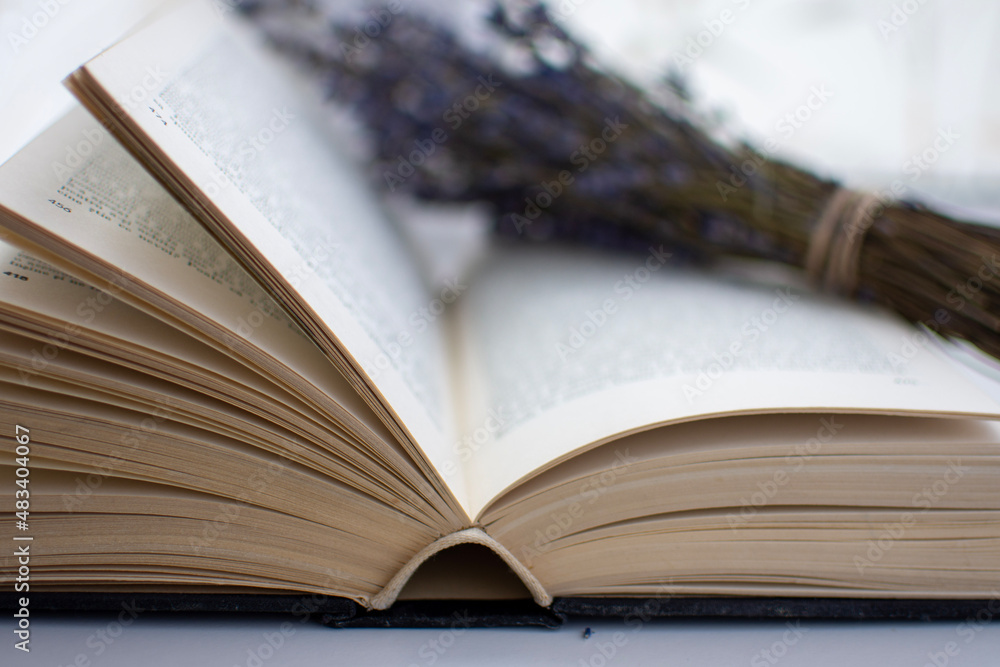 Obraz premium open book