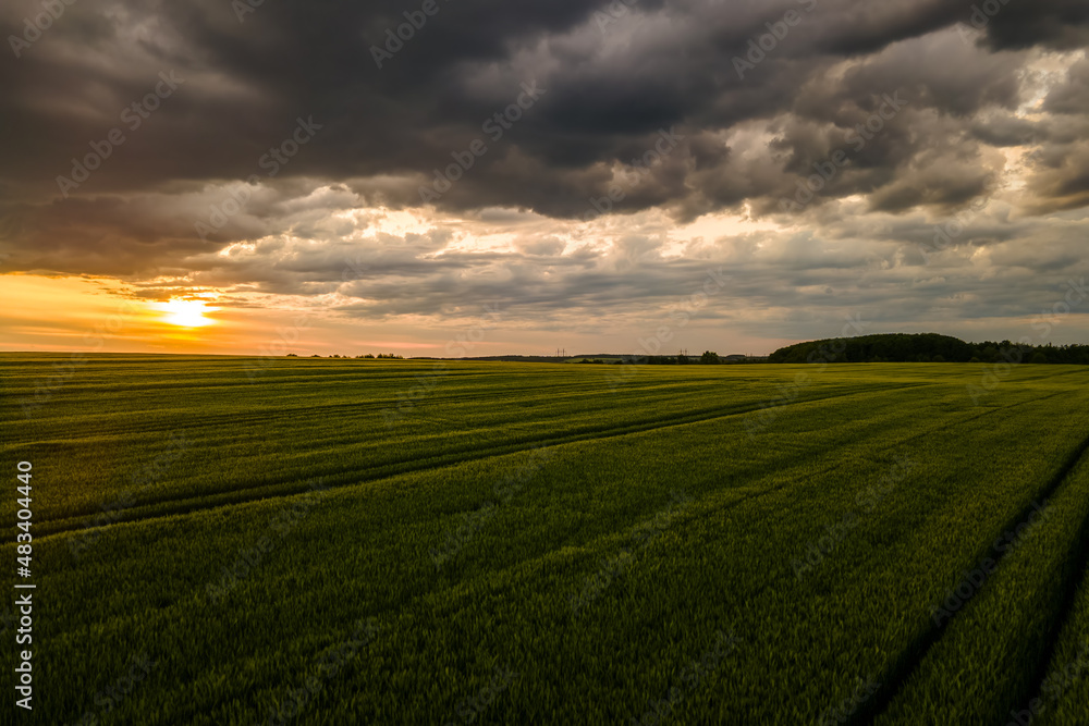 Fototapeta premium Aerial landscape view of green cultivated agricultural fields with growing crops on bright summer evening