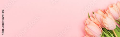top view of bouquet of tulips isolated on pink, banner