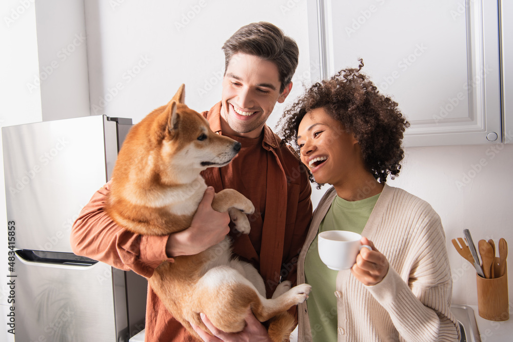 smiling man cuddling shiba inu dog near joyful african american girlfriend with coffee cup smiling man cuddling shiba inu dog near joyful african american girlfriend with coffee cup