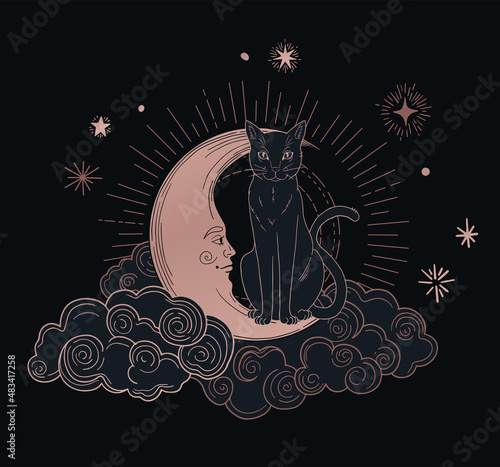 illustration of mystic cat with mystic space and moon